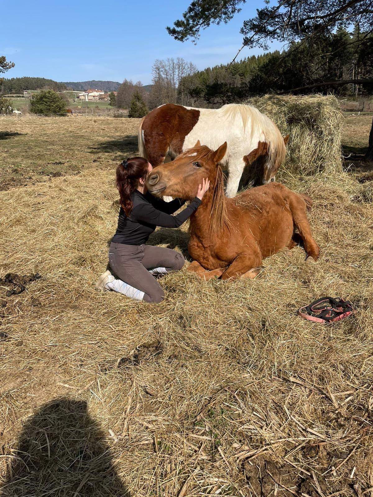 310845646 1087764985248934 4754046053406136805 n